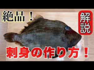 【釣り人必見】釣りたてのカワハギの最高の食べ方！美味しい切り方は〇〇切り！？【魚捌き方教室・せり人ムタロー】