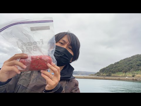 離島の漁港の隅っこで釣り配信