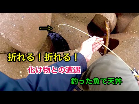 【穴釣り】釣った魚で高級天丼。化け物との遭遇。