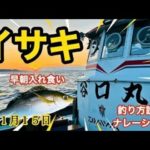 イサキ入れ食い、釣り方説明ナレーション　１月１５日