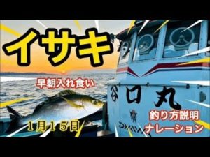 イサキ入れ食い、釣り方説明ナレーション 1月15日