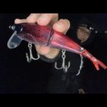 【夜の琵琶湖バス釣りライブ】今日はいちごの日なので、赤色で釣れちゃうかも？