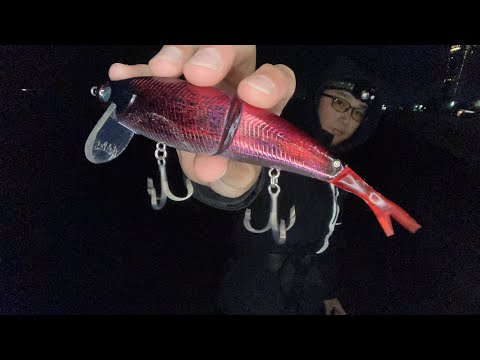 【夜の琵琶湖バス釣りライブ】今日はいちごの日なので、赤色で釣れちゃうかも？