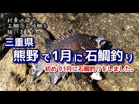 @石鯛 紀東地磯 に石鯛釣りに行きました 1月に石鯛釣りをするのは初めてです ♯石鯛釣り ♯イシダイ釣り ♯石鯛釣り最新 ♯釣りガール ♯石鯛釣り最新 ♯石鯛釣り遠投 ♯磯釣り ♯地磯 ♯地磯釣り