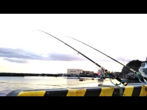 中之作漁港が激アツ!まったり夜のブッコミ釣りが楽しすぎる!