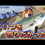 第159話【1月初青物!】肝心なのは海水温!冬の和歌山で今年初青物!の巻。