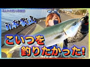 第159話【1月初青物!】肝心なのは海水温!冬の和歌山で今年初青物!の巻。