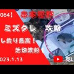 【#064】2023.1.13 串本樫野　ミズタレ攻略　 グレ釣り最高!!