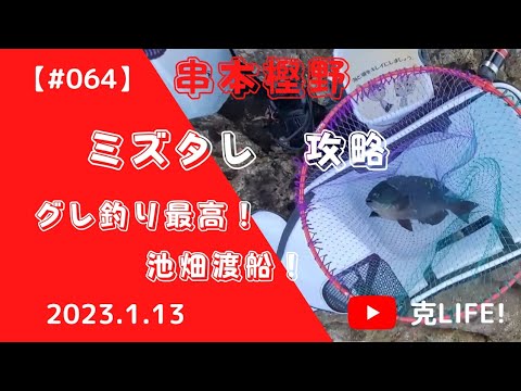 【#064】2023.1.13 串本樫野　ミズタレ攻略　 グレ釣り最高!!