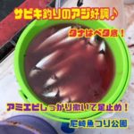 サビキ釣りのアジ好調！fishing max武庫川店