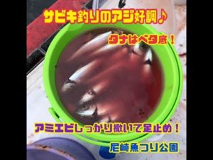 サビキ釣りのアジ好調！fishing max武庫川店