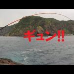 【石鯛釣り】電話の最中に竿が舞い込んで焦る男…（81）