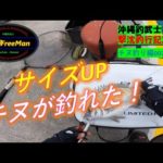 【沖縄釣り】サイズUPチヌが釣れた　沖縄釣武士撃沈釣行記2023　チヌ釣り編003