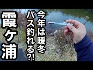 今週のバス釣り霞ヶ浦おかっぱりポイントガイド今年は暖かいというが‥2023年1月21日