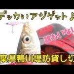 残念ながら冷たい雨の日。けど、人気の堤防、誰もいなかった！貸し切り釣行♪