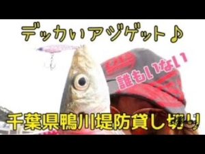残念ながら冷たい雨の日。けど、人気の堤防、誰もいなかった！貸し切り釣行♪
