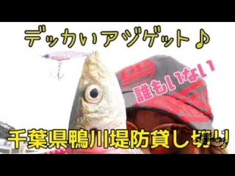 残念ながら冷たい雨の日。けど、人気の堤防、誰もいなかった！貸し切り釣行♪
