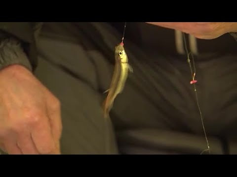 氷上ワカサギ釣り解禁 厳寒の岩洞湖<岩手・盛岡市> (23/01/23 12:03)