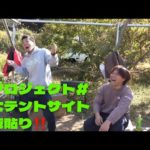 海プロジェクト#39完成間近テントサイトの天板貼り！