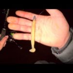 オレはあの魚が釣りたいんだ