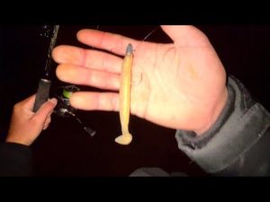 オレはあの魚が釣りたいんだ