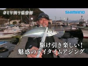 【おとな釣り倶楽部】1月の宇和島、冬のデイアジング攻略法で納得の型を仕留める