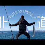【フカセ釣り】ごめんね…もう外道とは言わないよ（住吉漁港）