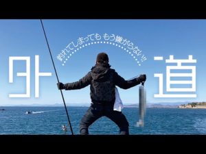 【フカセ釣り】ごめんね…もう外道とは言わないよ（住吉漁港）