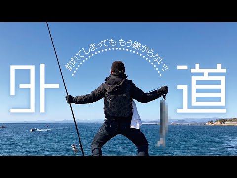 【フカセ釣り】ごめんね…もう外道とは言わないよ（住吉漁港）