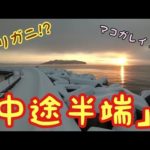 船と船の間で釣りした結果…