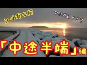 船と船の間で釣りした結果…