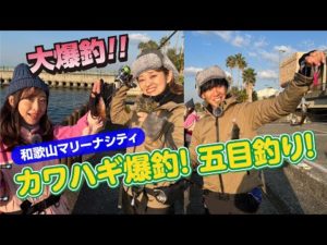 釣って食べて二度美味しい堤防のカワハギ釣り【ガッ釣り関西181】