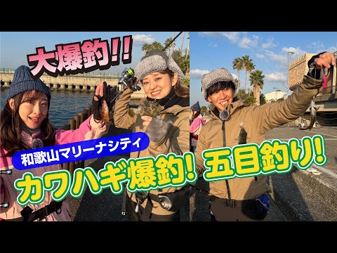 釣って食べて二度美味しい堤防のカワハギ釣り【ガッ釣り関西181】