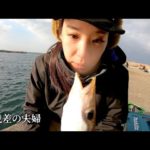 真冬のこの釣り オレは激アツなアレが釣りたいんだ 夜の堤防からイカを狙う ドン引きする妻 vs 爺ちゃんの竿を持ち出した夫（残業)   イカ釣りするリアルな夫婦　#ヤリイカ  #海釣り #夫婦