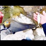 今日はいつもと違った釣りです