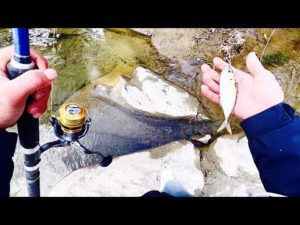 今日はいつもと違った釣りです