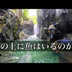 【渓流釣り】行ってみなきゃわからない！滝を越えた先へ！