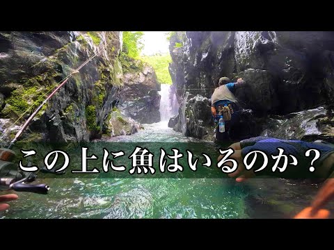 【渓流釣り】行ってみなきゃわからない！滝を越えた先へ！