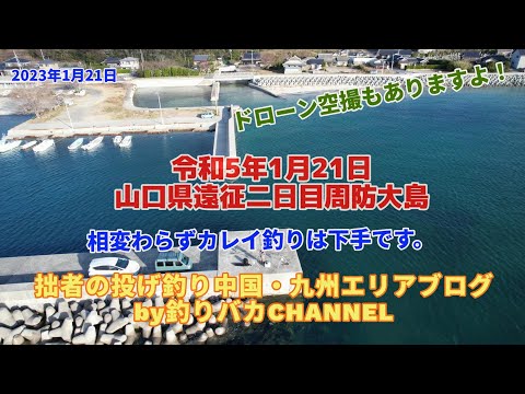 【投げ釣り】2023年1月21日 カレイ釣行動画in周防大島秋港