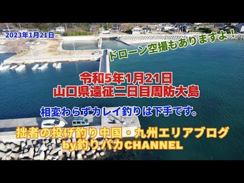 【投げ釣り】2023年1月21日　カレイ釣行動画in周防大島秋港