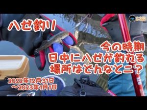 ハゼ釣り 今の時期、日中にハゼが釣れる場所はどんなとこ？ 2022年12月31日〜2023年1月1日