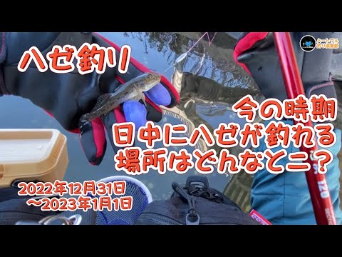 ハゼ釣り 今の時期、日中にハゼが釣れる場所はどんなとこ？ 2022年12月31日〜2023年1月1日