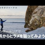 スピンテールジグで砂浜からヒラメをねらってみよう【釣りあそびジャーナル】