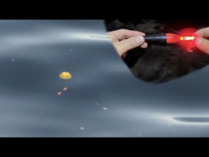 「ウキフカセ釣り」昼間はどんぐりウキのあたりを楽しみ、夜は電気ウキでワンチャン大物!!