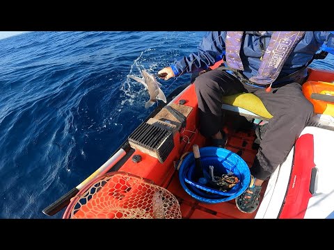 水深200ｍは魅力的！？【沖縄】 【二馬力ボート】【釣り】【ハンターボート】