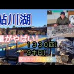 鮎川湖!ワカサギ釣り。量がやばい!釣れっぷり。
