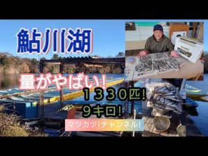 鮎川湖!ワカサギ釣り。量がやばい!釣れっぷり。