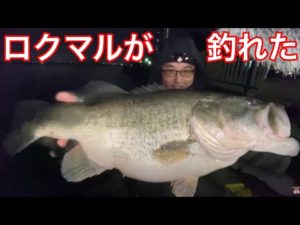 2匹釣れたよ！ネコソギDSRのデッドスローがうまく行ったよ！【琵琶湖おかっぱりス釣りライブ】