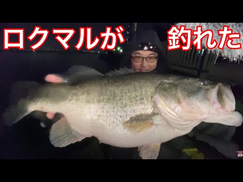 2匹釣れたよ！ネコソギDSRのデッドスローがうまく行ったよ！【琵琶湖おかっぱりス釣りライブ】