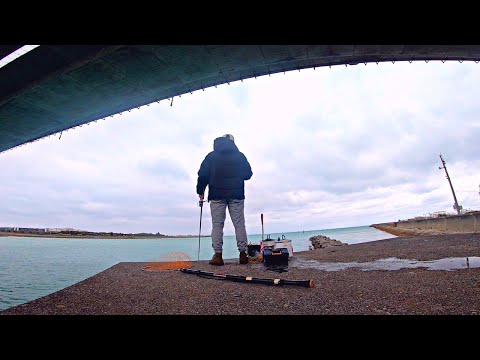 チヌが釣りたくて雨にも風にも負けない場所でフカセ釣りした1日